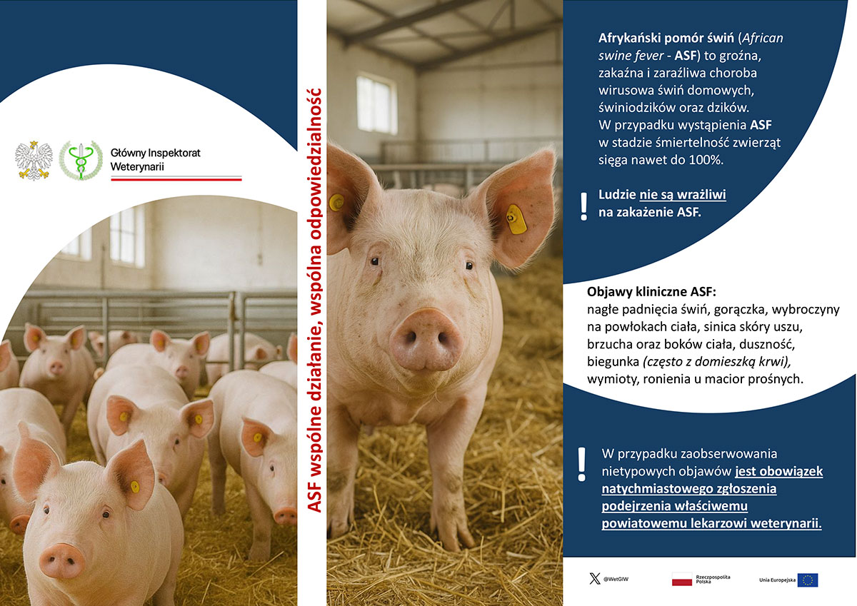 ASF wspólne działanie, wspólna odpowiedzialność