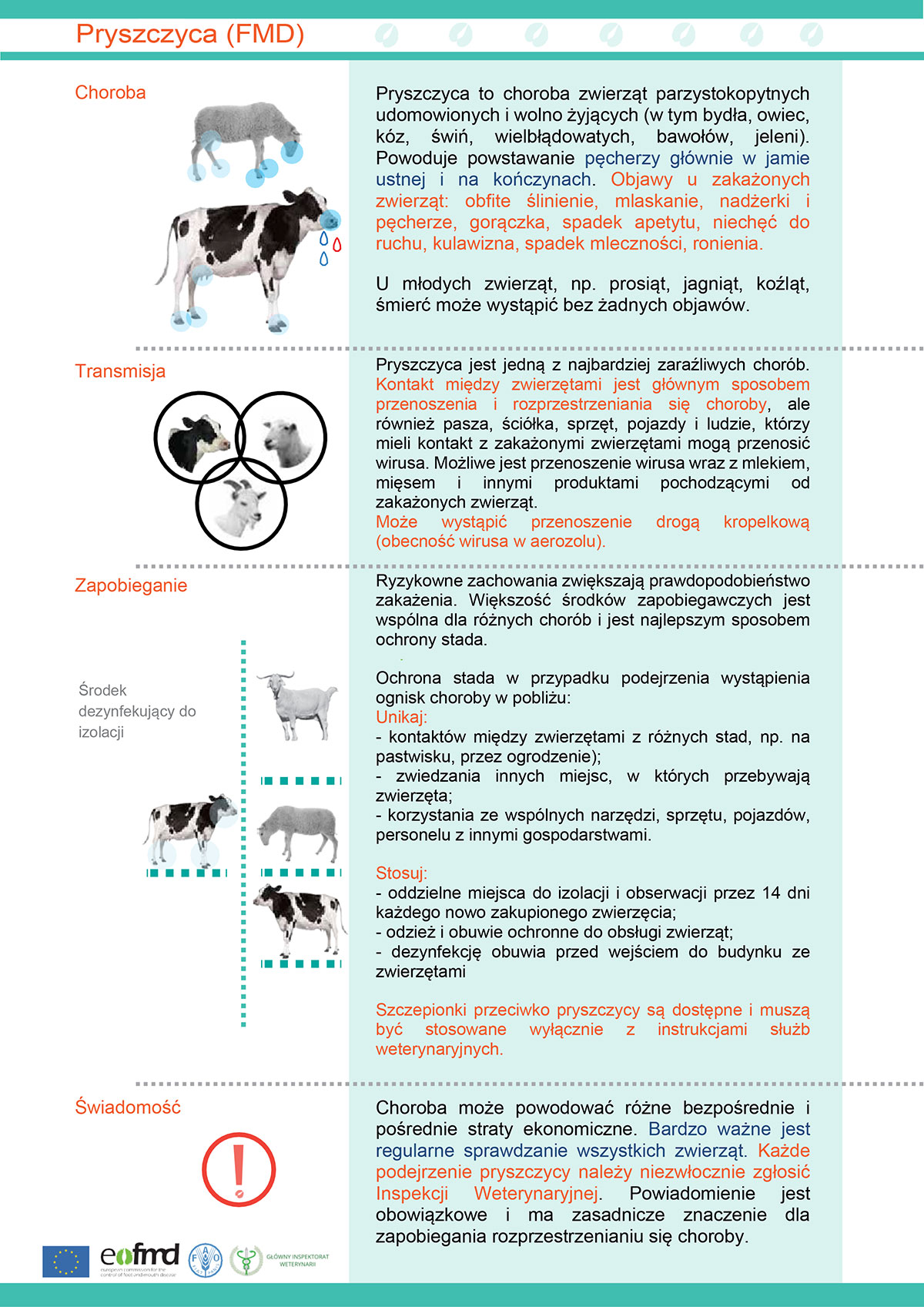 Pryszczyca (FMD)