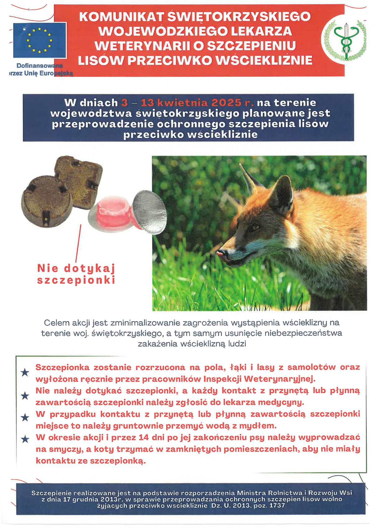 Szczepienie lisów przeciwko wściekliźnie