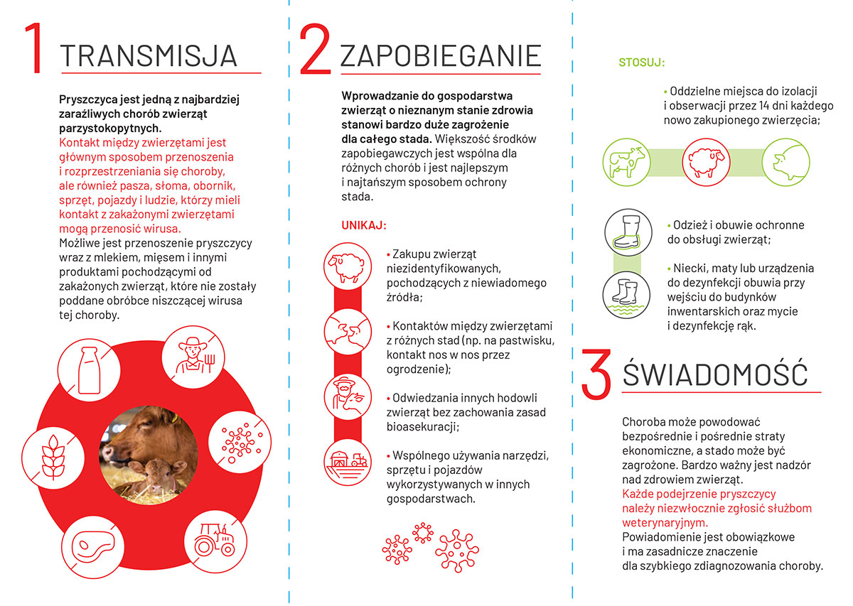 Ulotka pryszczyca MRiRW